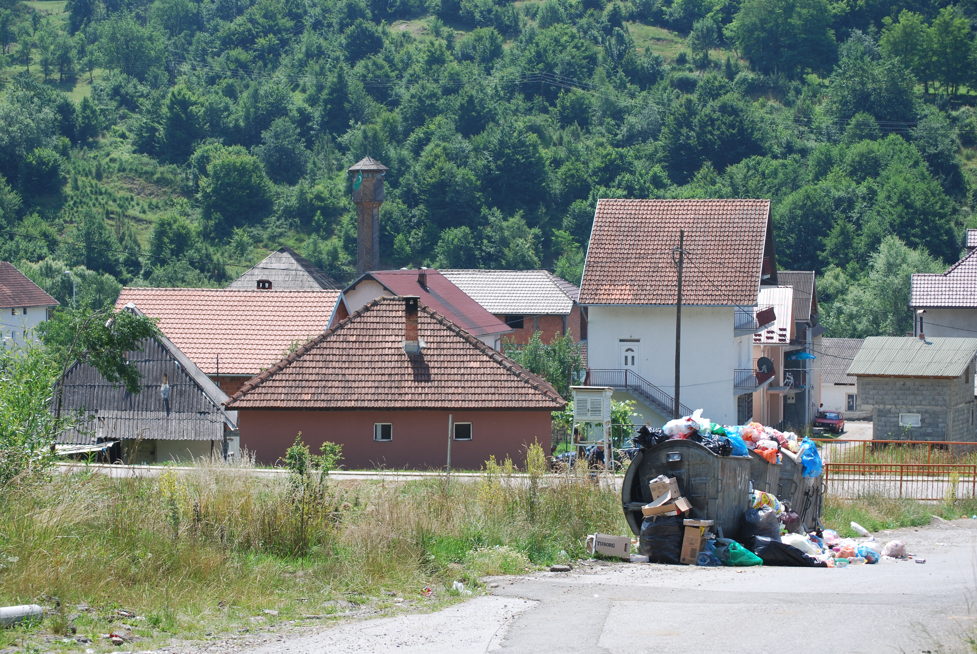 Komisija će dijeliti Berane i Petnjicu