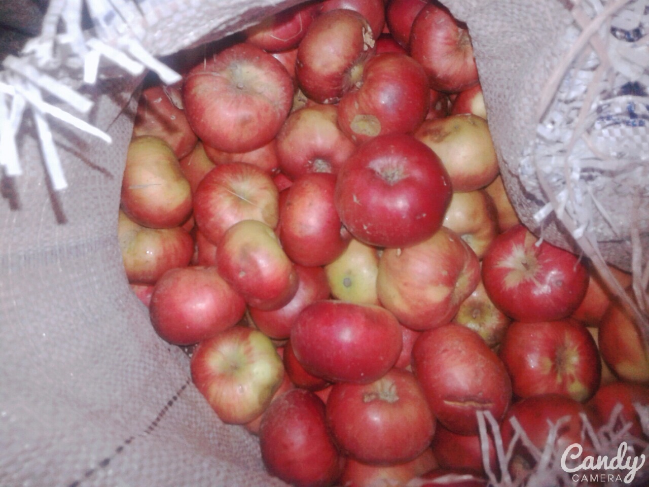 Bihorske jabuke na crnogorskom tržištu