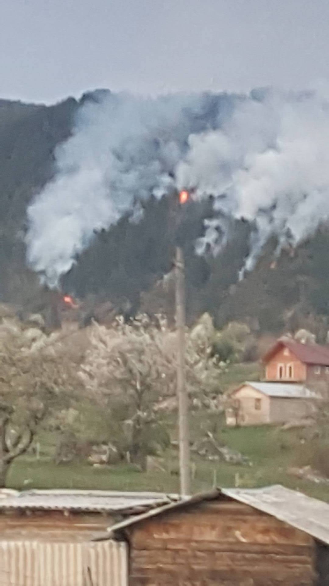 NOVI POŽAR U BIHORU – GORI ŠUMA IZMEĐU BORA I SAVIN BORA