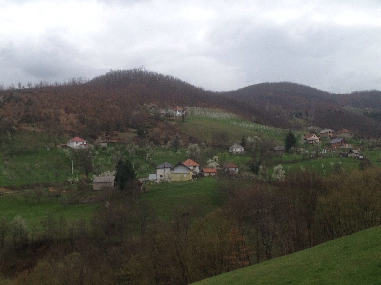 PROBLEMI STOČARA IZ VRBICE I TRPEZI: MLJEKARA IZ ROŽAJA PRESTALA DA OTKUPLJUJE MLIJEKO