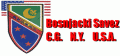 BSCG NY: POVRIJEĐEN STATUT O IZBORU ZASTUPNIKA U SAVJETU ZA SARADNJU SA DIJASPOROM