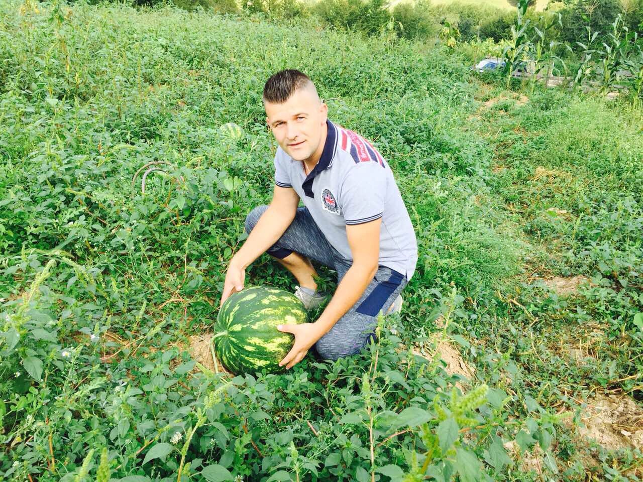 BIHORSKA LUBENICA SLAĐA OD ULCINJSKE, KO NE VJERUJE NEKA DOĐE DA PROBA