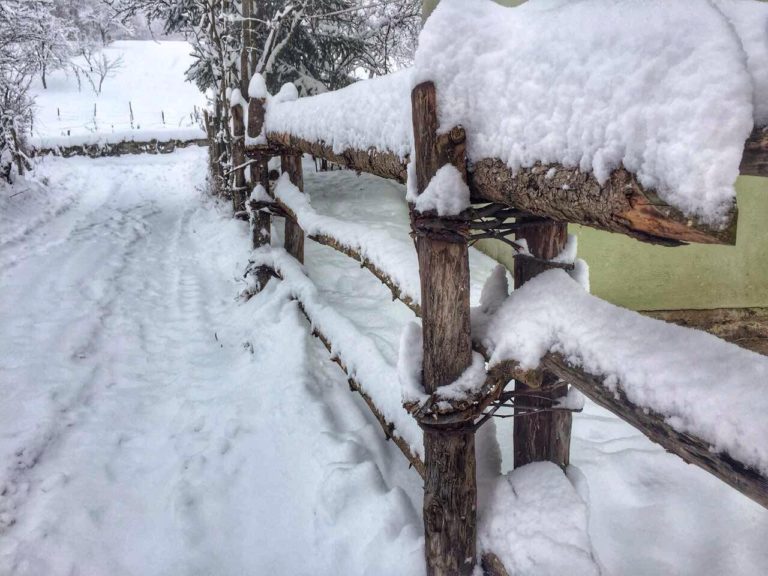 U MZ AZANE-VRŠEVO OČIŠĆENO 25 KM PUTEVA