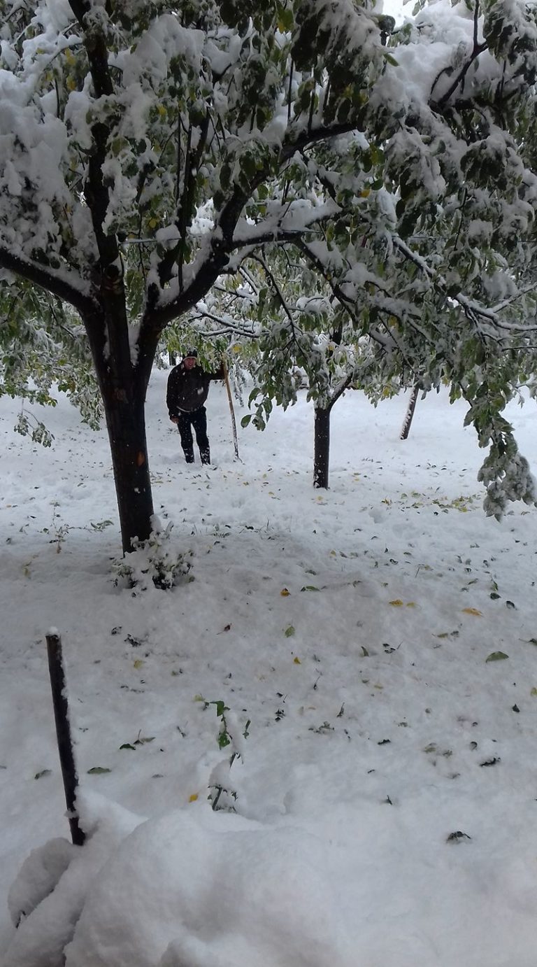 FOTO PRIČA: VRŠEVO, PONOR, PETNJICA, GODOČELJE……..