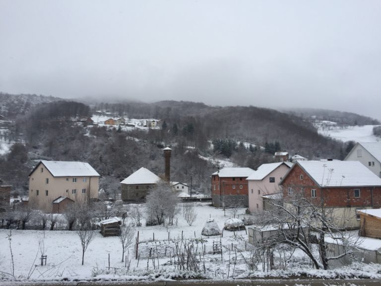 NAŠI PJESNICI U DIJASPORI: ZAVIČAJ