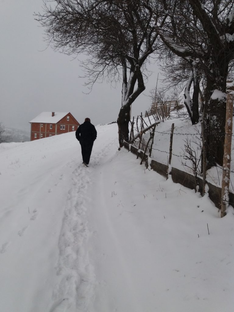 SINJEG U OPŠTINI PETNJICA: DO SAVIN BORA PROHODNO, VISINA SNIJEGA 10 CM