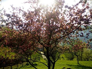 BIHORSKI “METEOROLOZI” NEPOGRJEŠIVI: SUDEĆI PO BEHARU BIĆE OVO RODNA GODINA