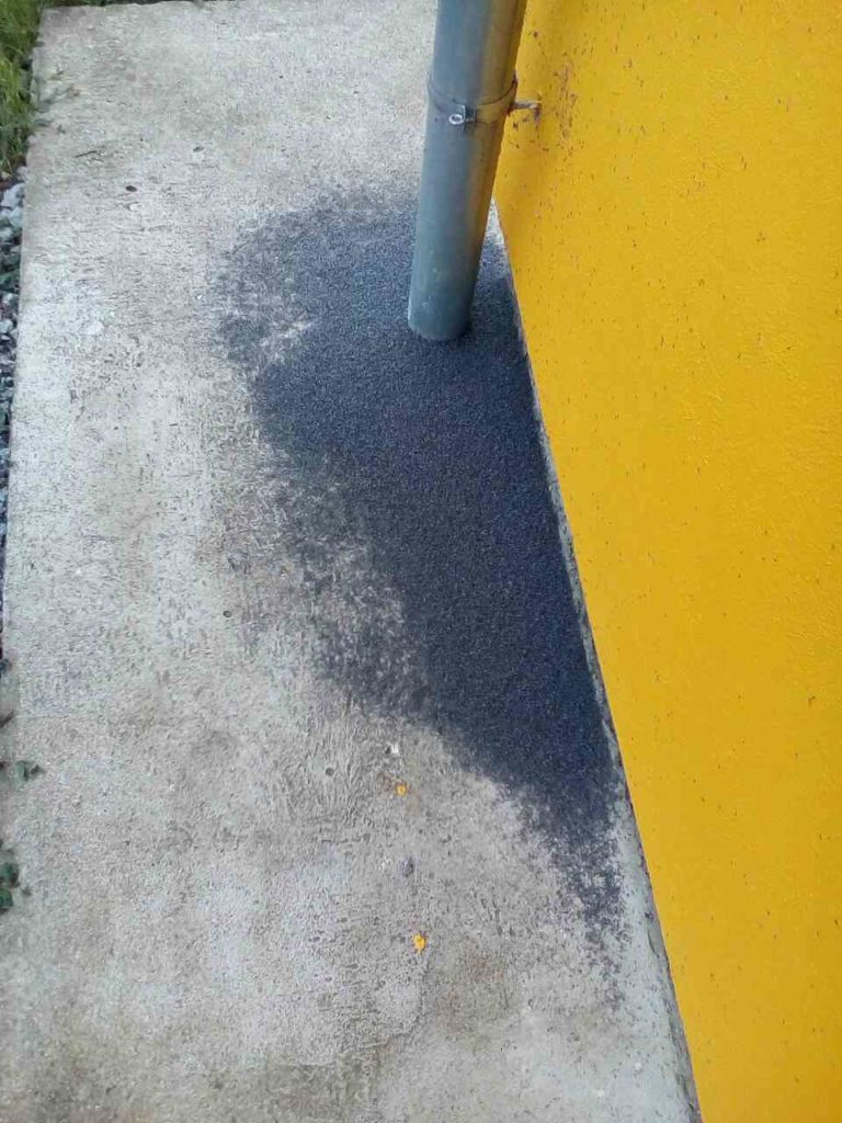 NAJEZDA MUŠICA NA PONORU