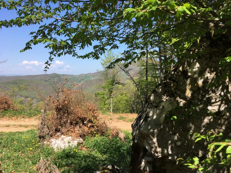 SKRIVENA MJESTA BIHORA: “HADŽIJIN KAMEN” PRIČA SVOJU PRIČU