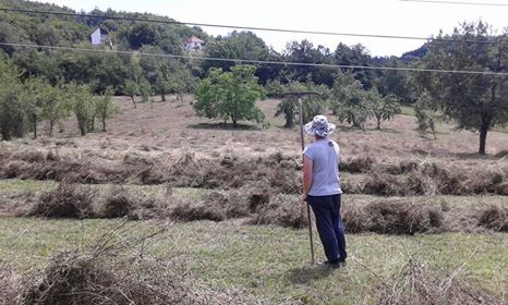 ŽICE ZA STRUJU NA DOHVATU RUKE