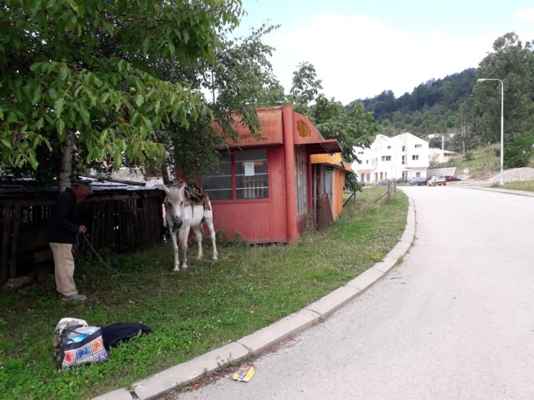 “SLIKAJ SLOBODNO, NIJESAM KONJA NIKOM UKRAO”