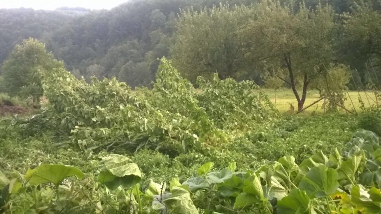 HUREMOVIĆIMA NEVRIJEME SKORO SVE UNIŠTILO