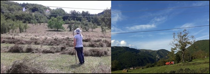 ŽICE ZA STRUJU U SELU LAGATORE NIJESU VIŠE OPASNOST ZA GRAĐANE