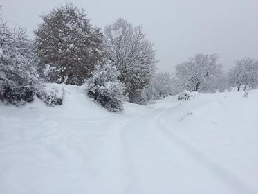 VIDEO: TEŠKO DO LAZA I SA TERENSKIM VOZILOM