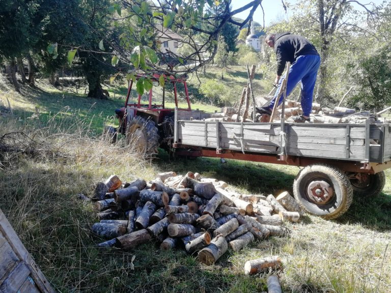 SPREMANJE ZA ZIMU: U BIHORU MUHABET ZAMIJENJEN ZVUCIMA MOTORNE ŠEGE I SJEKIRA