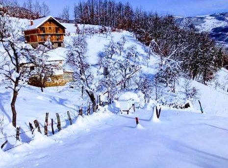 SELO BARE OD SINOĆ BEZ STRUJE, CEDIS: ZBOG NEVREMENA PUNO KVAROVA, EKIPE NA TERENU