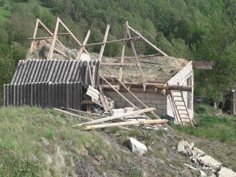 VIDEO I FOTO: VJETAR U PETNJICI OBARAO STABLA, STUBOVE ZA STRUJU…