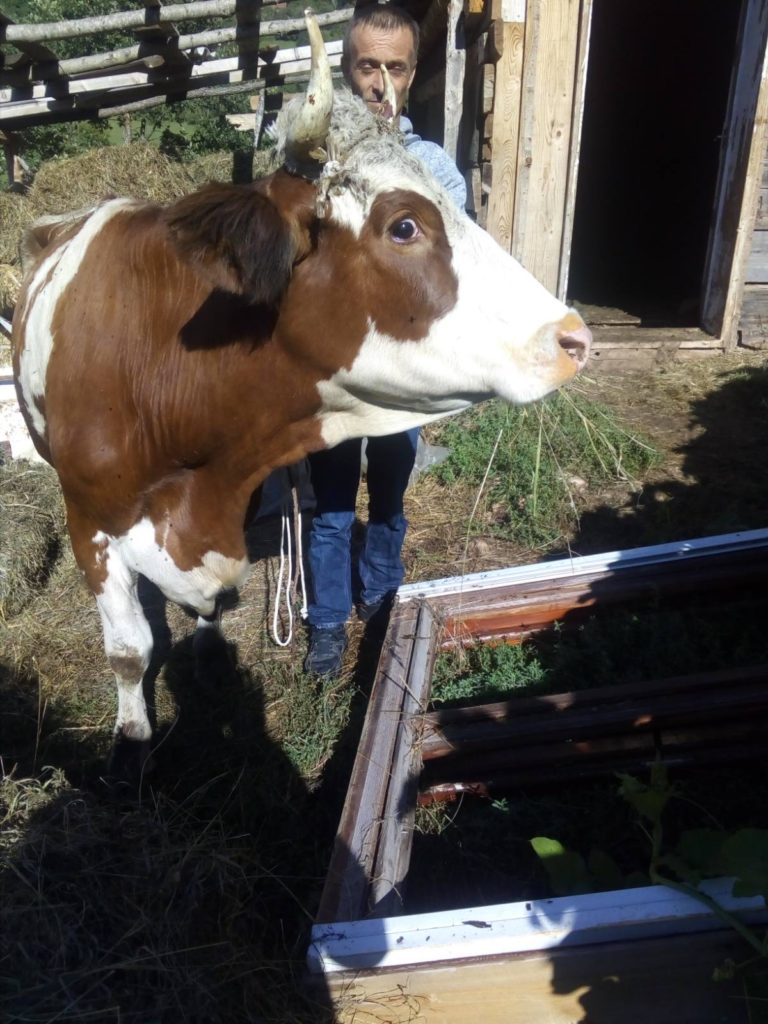 DONACIJA ZA PORODICE TOKOVIĆA I KOŽARA