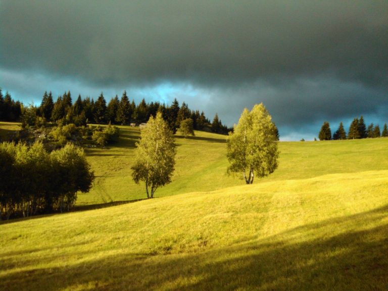 BIHORCI, ZAPAD NIJE RAJ – DOBRO DOŠLI U REALNOST