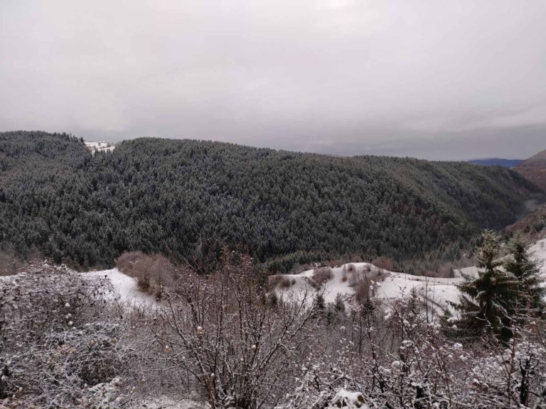 FOTO PRIČA: SNIJEG NA BIHORSKIM PLANINAMA