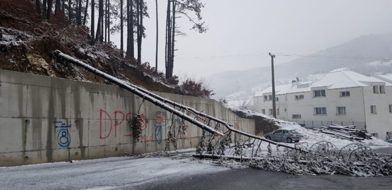 PETNJICA: DVA BORA PALA NA PUT KOD ZDRAVSTVENE STANICE