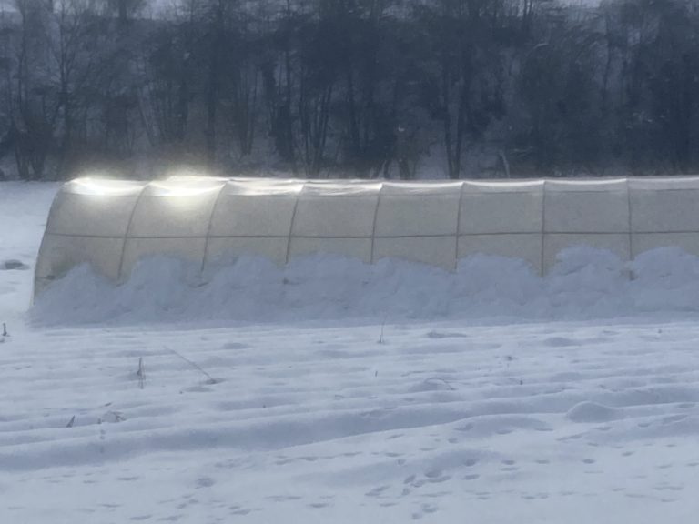 MANJE ŠTETE NA PLASTENICIMA U BIHORU