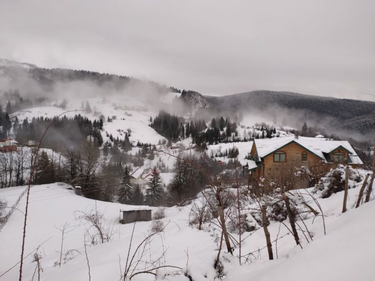 FOTO PRIČA: ZIMSKA IDILA NA SAVIN BORU