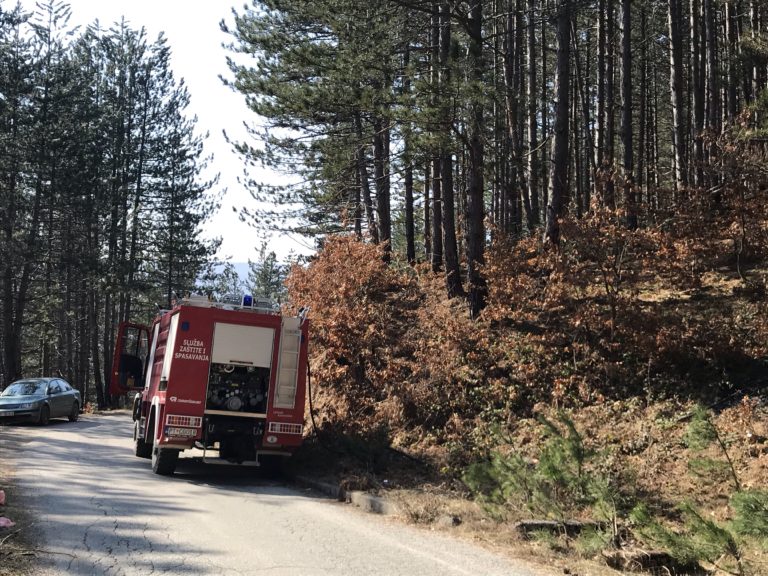 VATROGASCI UGASILI POŽAR NA TRPEŠKOM BRDU