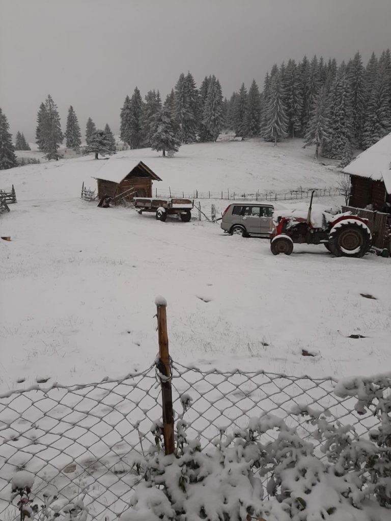 FOTO PRIČA SA PLOČNIKA – ZIMA PRESKOČILA JESEN