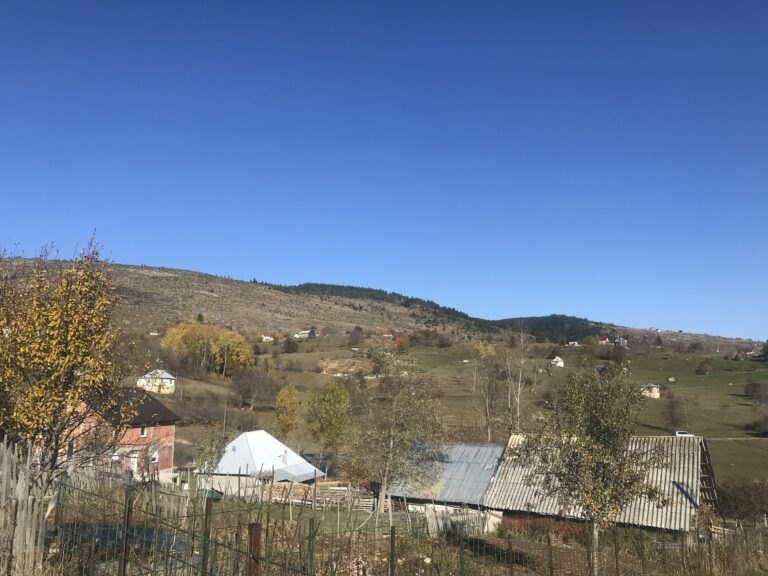 FOTO PRIČA SA BORA