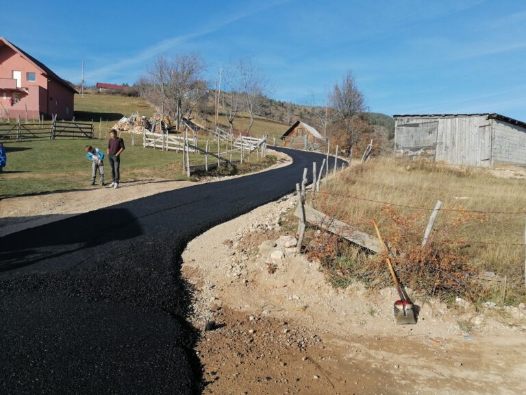 (FOTO I VIDEO) ASFALTIRANI PUTEVI U ZASEOKU DIVLJACI U MZ SAVIN BOR