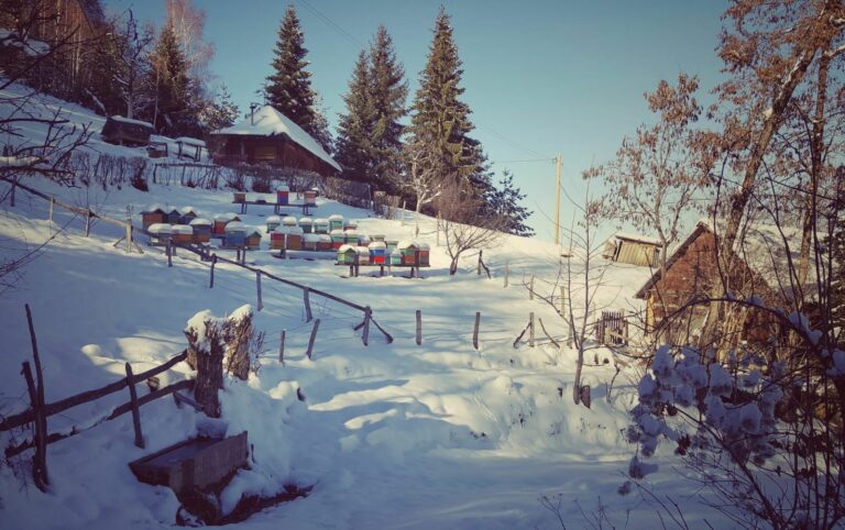 FOTO PRIČA: Gornja Vrbica