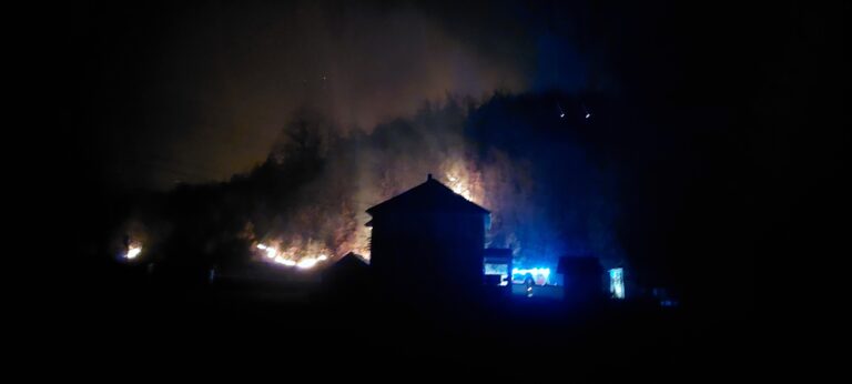 (VIDEO) Bihorski piromani ne miruju, šume trpe i nanosi im se enormna šteta