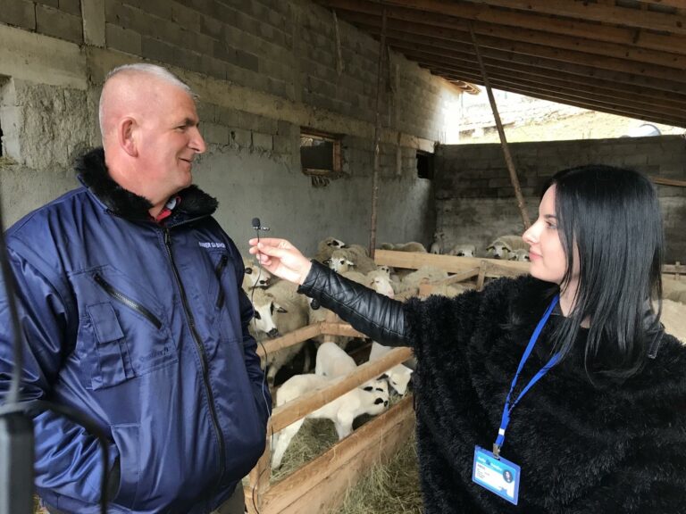 (VIDEO) MEHMED MELE AJDARPAŠIĆ, STOČAR SA NEOBIČNIM REKORDOM: OD 46 OVACA PO DVA JAGNJETA, A OD JEDNE ČAK TRI