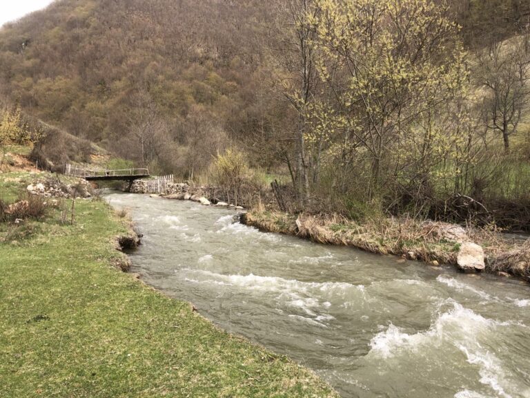 VIDEO I FOTO: IGRA NABUJALE POPČE