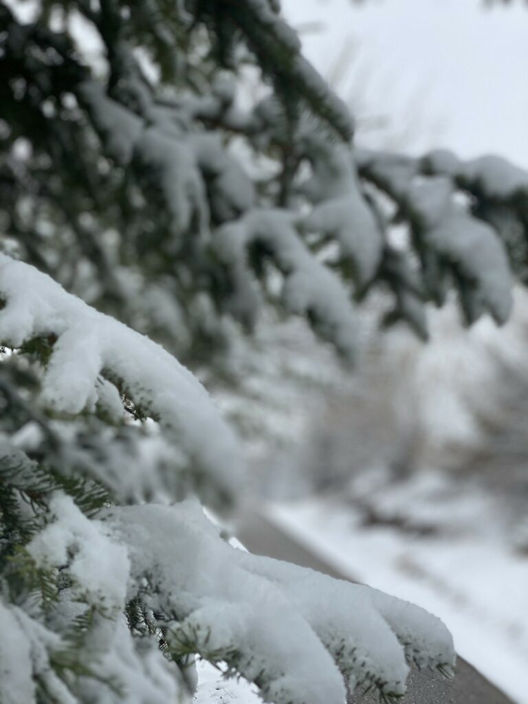 Foto priča – aprilski snijeg u Bihoru