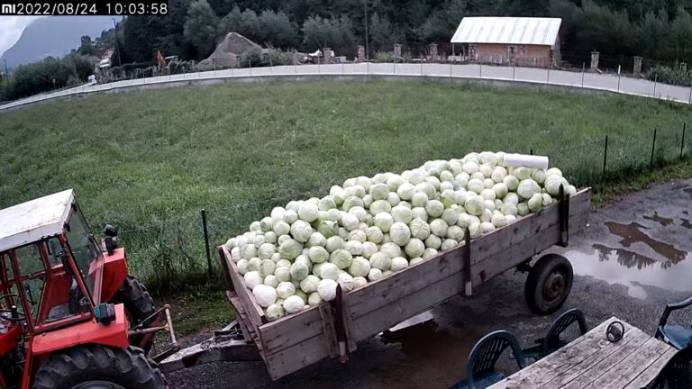 (FOTO, VIDEO) U posjeti kod poljoprivrednika Abdulaha Muratovića: Može se živjeti od poljoprivrede