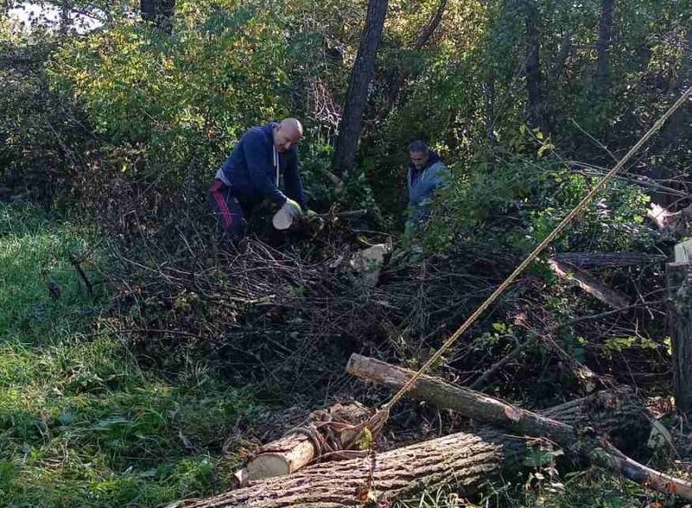 PETNJICA: SEZONA GRIJANJA STIGLA RANO, METAR DRVA OD 50 DO 60 EURA