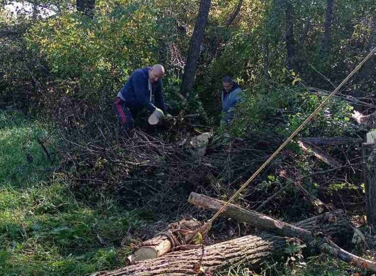 PETNJICA: SEZONA GRIJANJA STIGLA RANO, METAR DRVA OD 50 DO 60 EURA