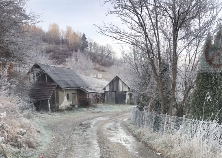 Putevi u Petnjici jutros okovani ledom