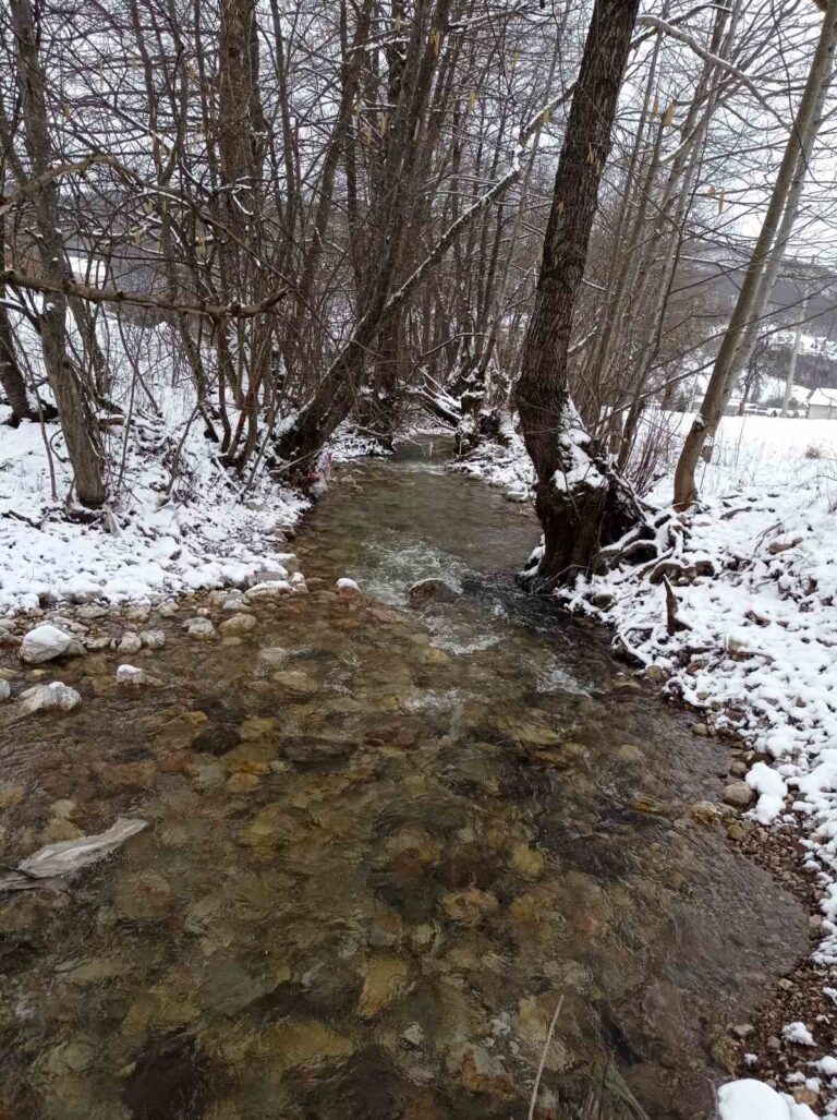 (FOTO I VIDEO) SLAB SNIJEG U PETNJICI, TEK DA PRIRODU OBOJI U BIJELO