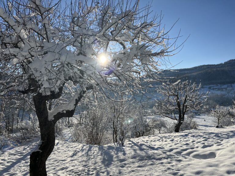 “ZUBATO” SUNCE U BIHORU (FOTO)