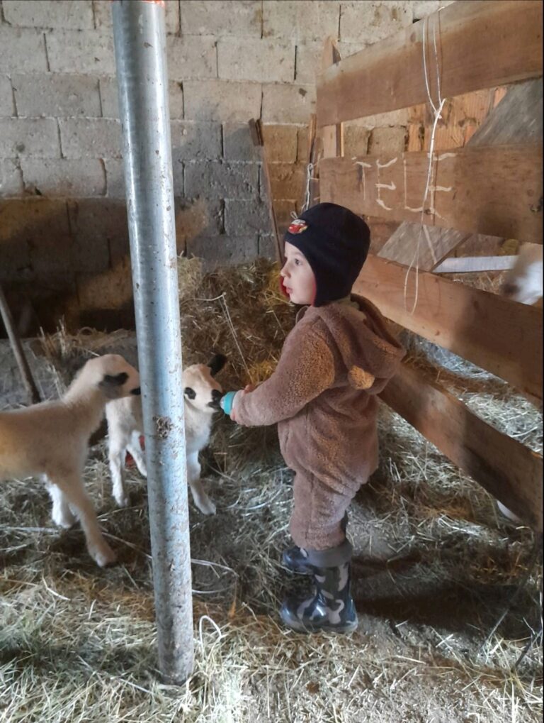 Pogledajte najmlađeg farmera u Bihoru – Dženana Hodžića (VIDEO)