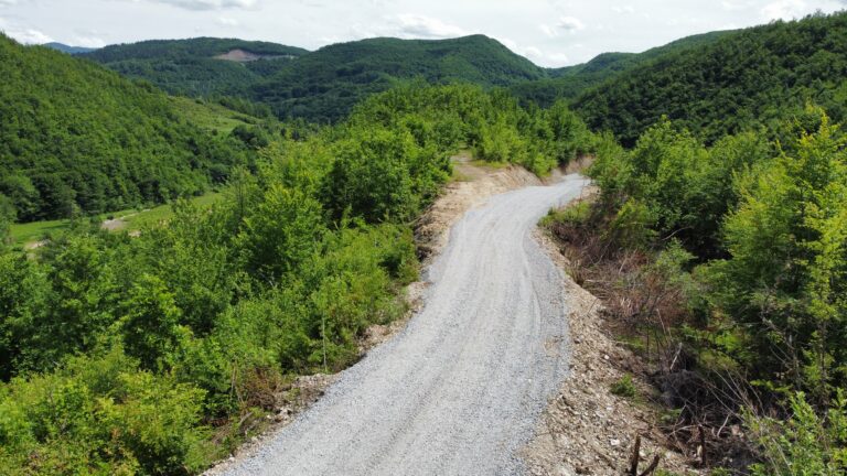PETNJICA: PROBIJEN PUT PREMA ORAHOVU