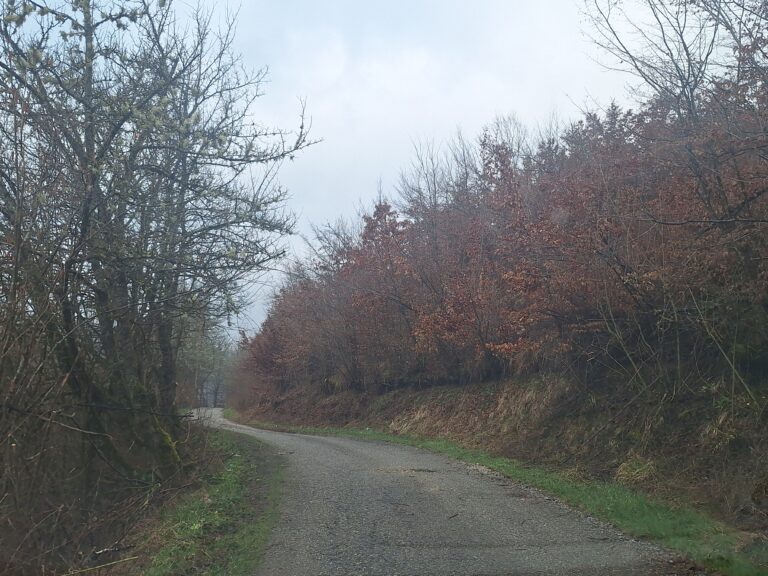 RADNICI KOMUNLANOG UREĐIVALI PUTNE PRAVCE U PETNJICI