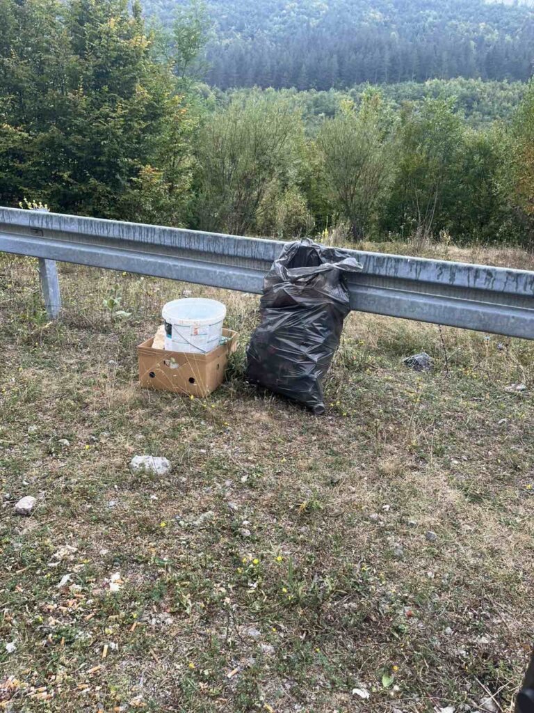 JOŠ JEDNA AKCIJA EKO GRUPE PETNJICA