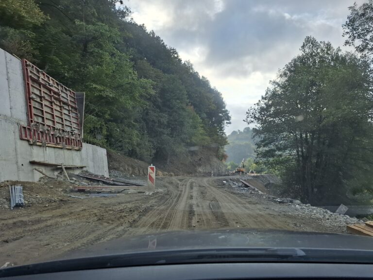 REKONSTRUKCIJA PUTA PETNJICA – BIOČA: PLANIRANA DINAMIKA, ZAVRŠETAK 2027.