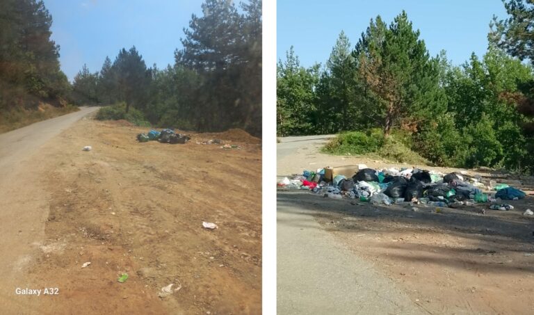 DOSTA JE: Petnjica nije ničija deponija