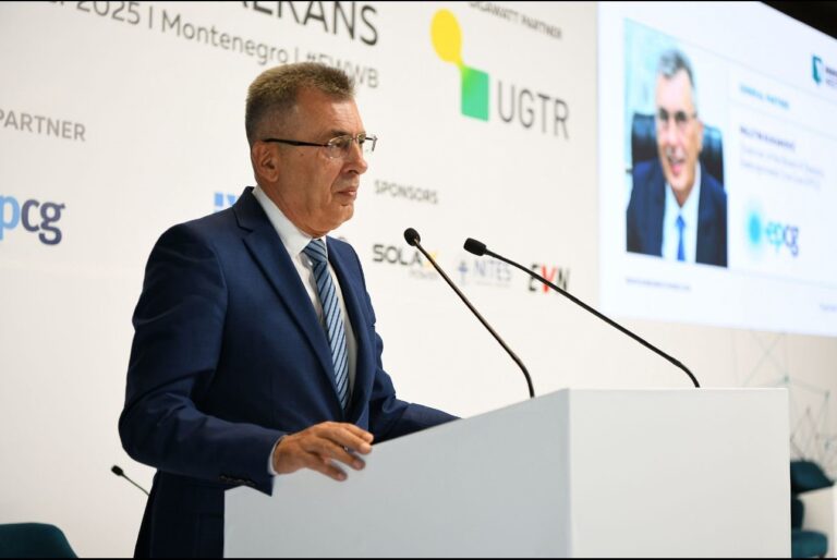 ĐUKANOVIĆ: NOVI OBNOVLJIVI IZVORI ENERGIJE I BATERIJE DONOSE NIŽE RAČUNE ZA STRUJU ZA NAŠE GRAĐANE