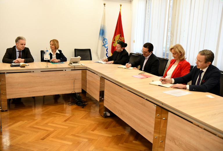 Jačanje saradnje Crne Gore i Švedske u energetici